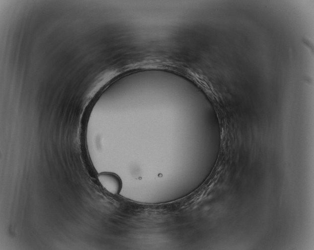 X0000093590292200710151023