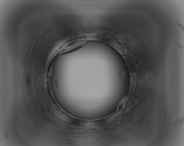 X0000093590293200710151023