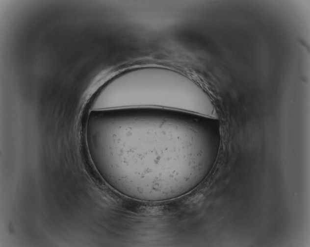 X0000093590295200710151023