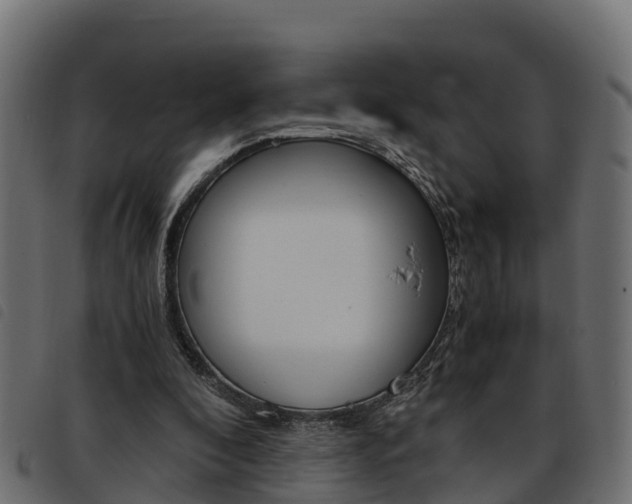 X0000093590296200710151023