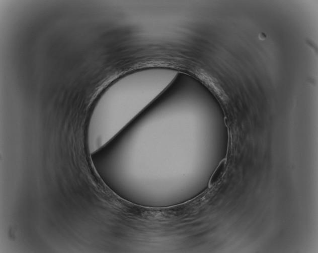 X0000093590297200710151023