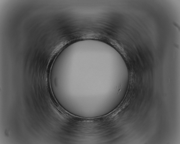 X0000093590298200710151023