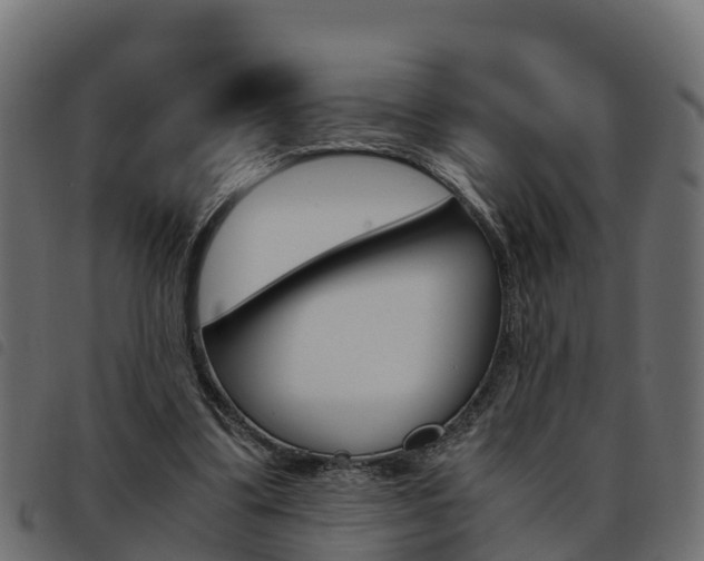 X0000093590299200710151023