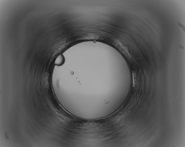 X0000093590300200710151023