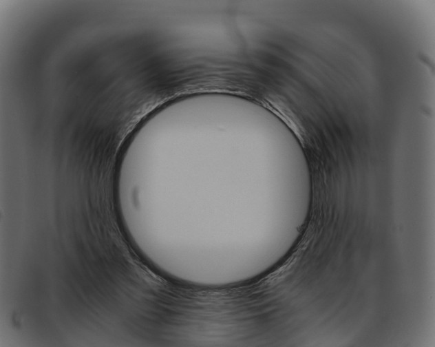 X0000093590301200710151023