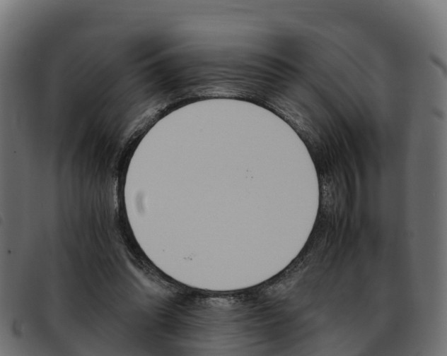 X0000093590302200710151023