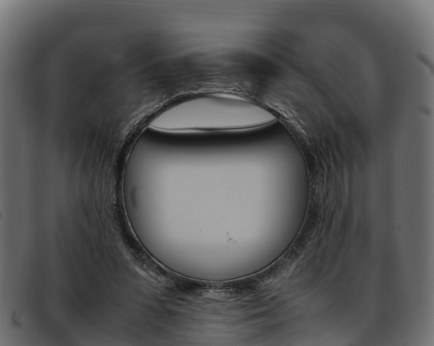 X0000093590303200710151023
