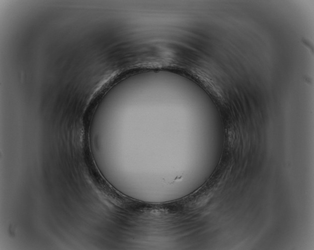 X0000093590304200710151023