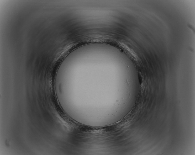 X0000093590306200710151023