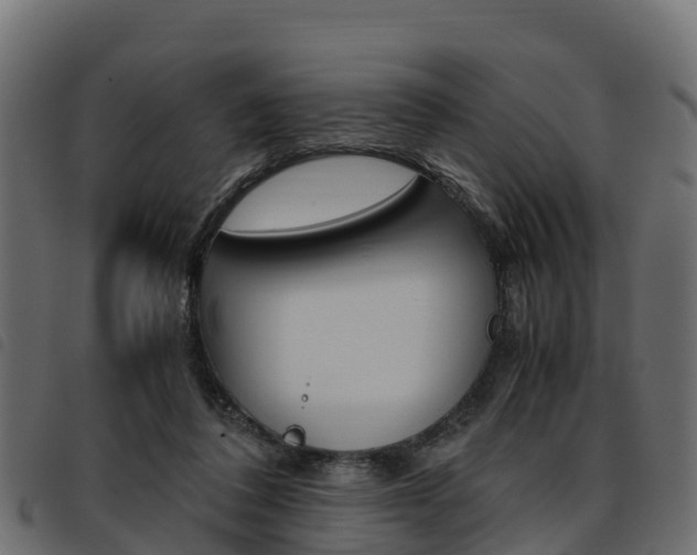 X0000093590308200710151023