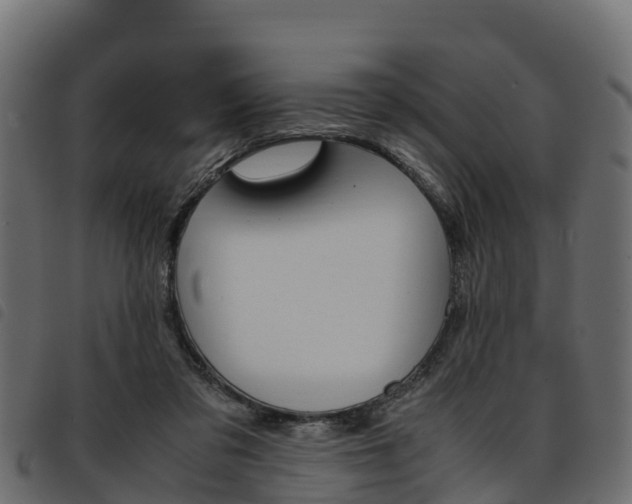 X0000093590309200710151023