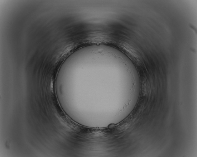 X0000093590310200710151023