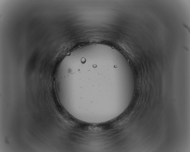 X0000093590311200710151023