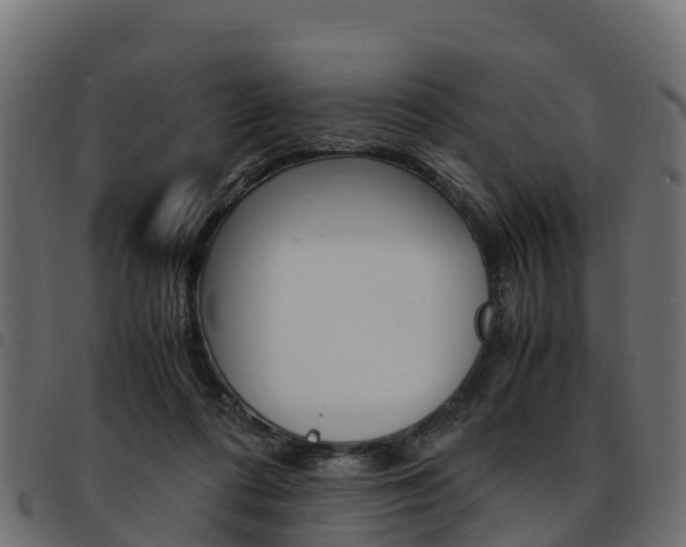 X0000093590312200710151023