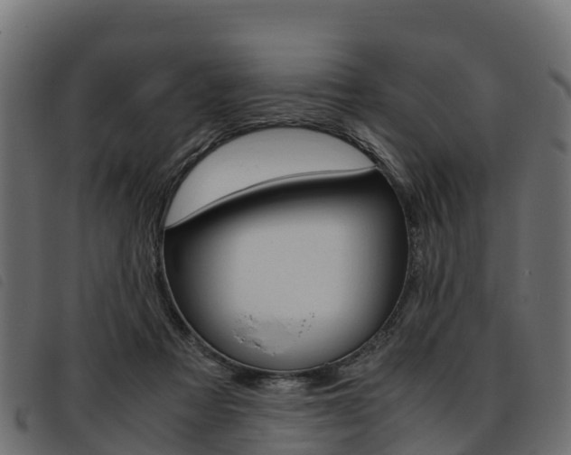 X0000093590313200710151023