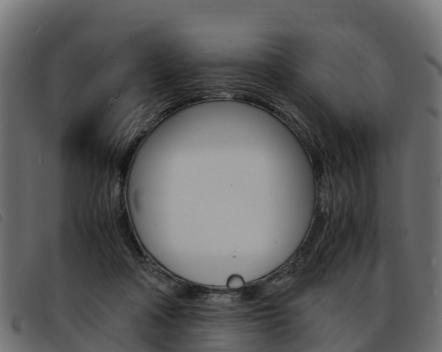 X0000093590314200710151023