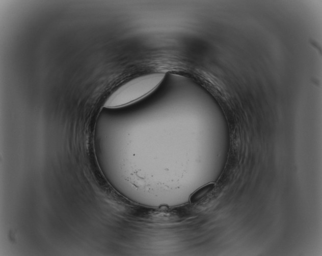 X0000093590315200710151023