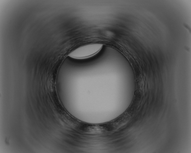 X0000093590316200710151023