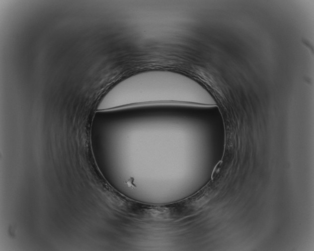 X0000093590317200710151023