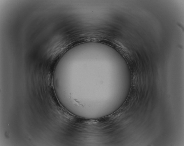 X0000093590318200710151023