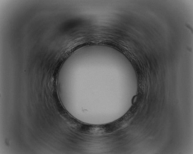 X0000093590319200710151023