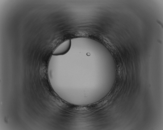 X0000093590322200710151022