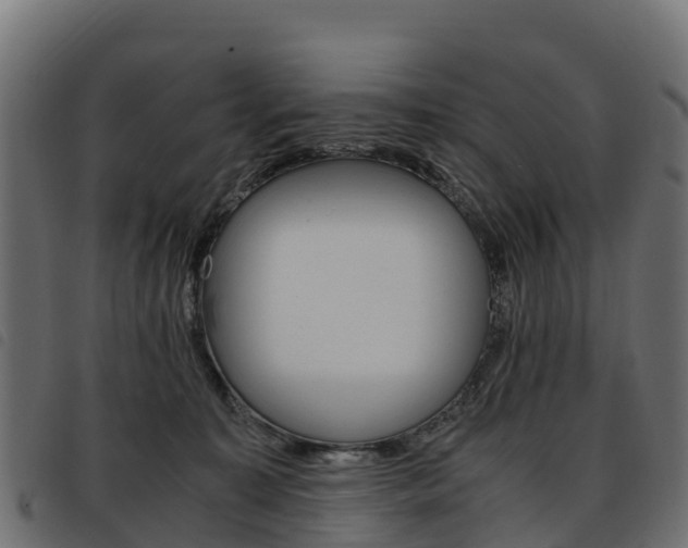 X0000093590323200710151022