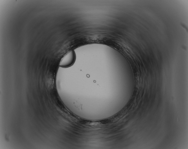 X0000093590324200710151022