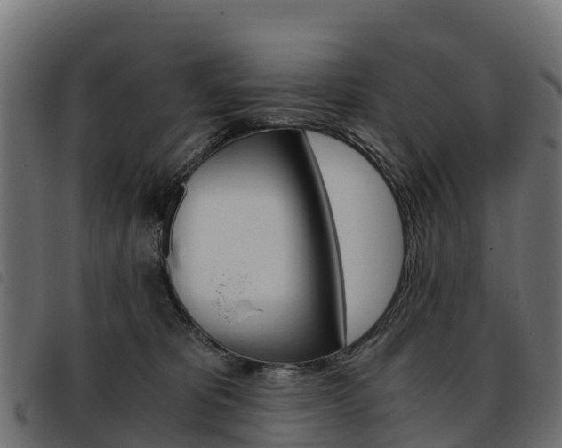 X0000093590325200710151022