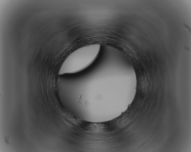X0000093590328200710151022