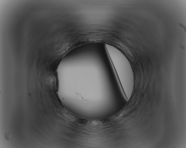 X0000093590329200710151022