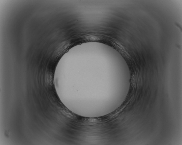 X0000093590330200710151022
