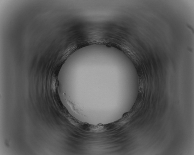 X0000093590334200710151022