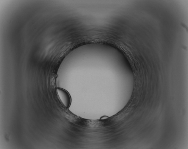 X0000093590336200710151022