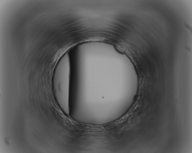 X0000093590337200710151022