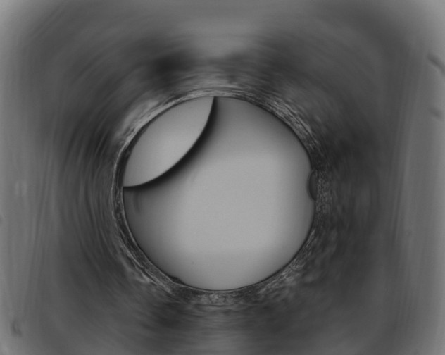 X0000093590338200710151022