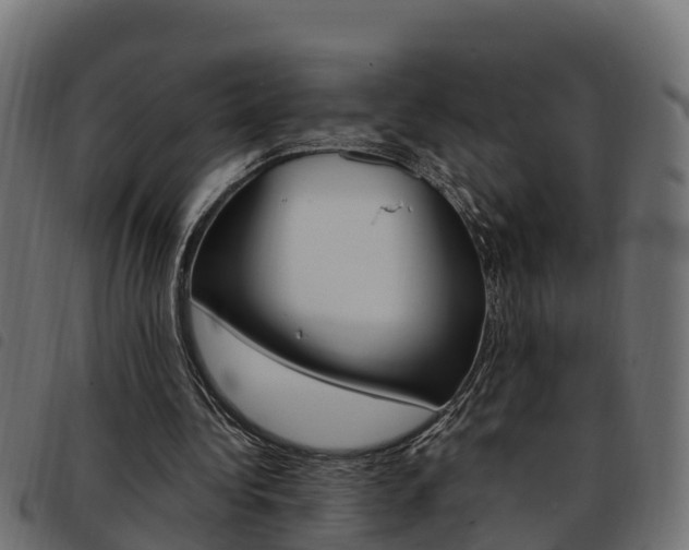 X0000093590340200710151022