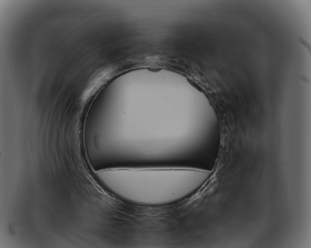 X0000093590341200710151022