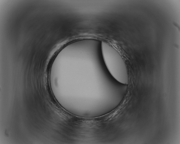 X0000093590342200710151022
