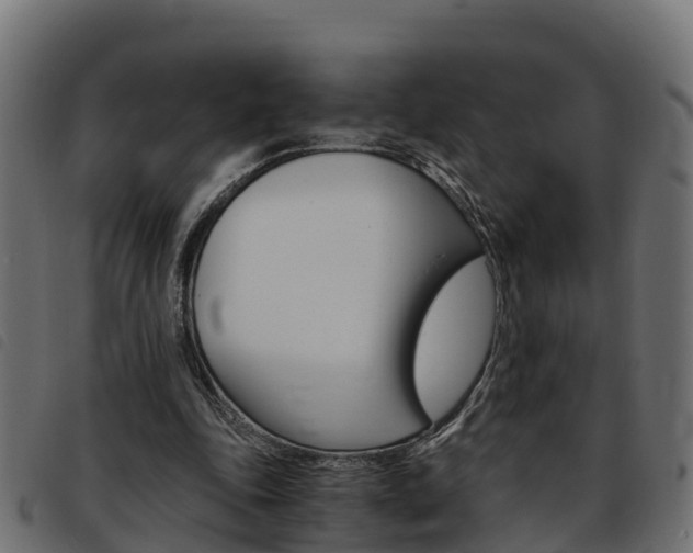 X0000093590343200710151022