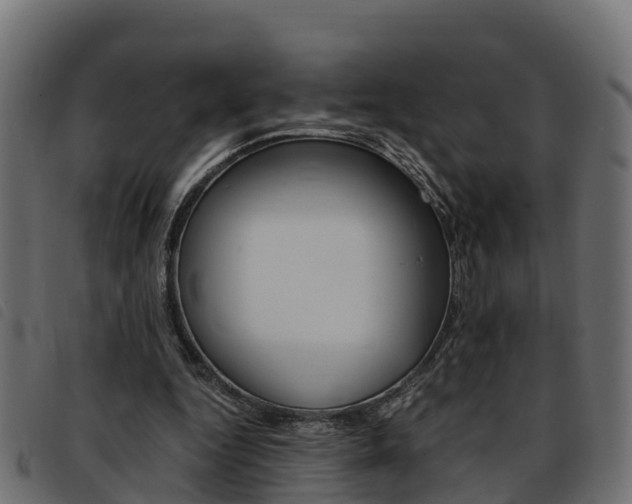 X0000093590344200710151022