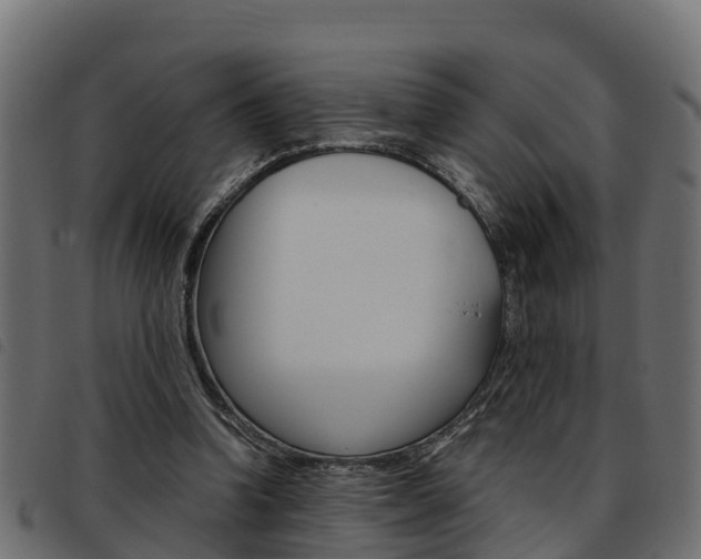 X0000093590346200710151022