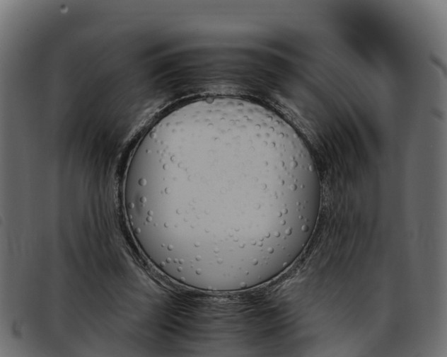 X0000093590347200710151022