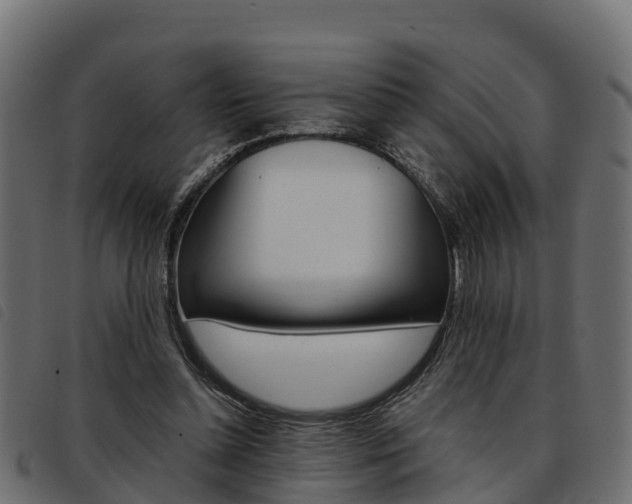 X0000093590348200710151022