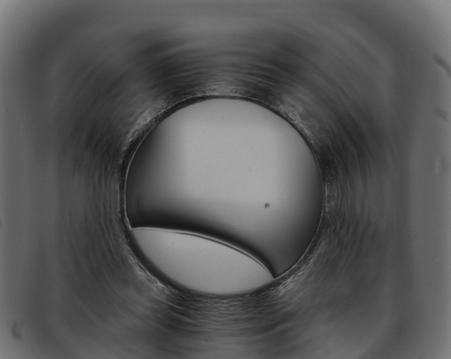 X0000093590349200710151022