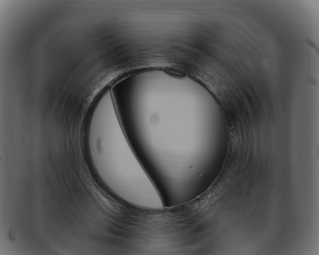 X0000093590350200710151022