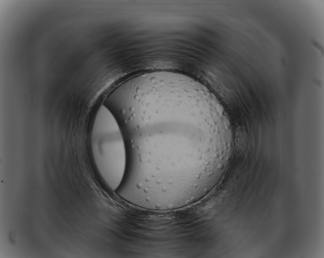 X0000093590351200710151022