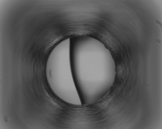X0000093590356200710151022