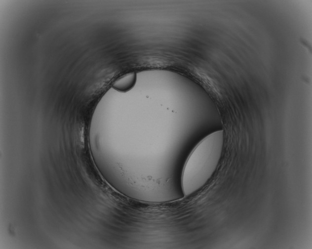 X0000093590358200710151022