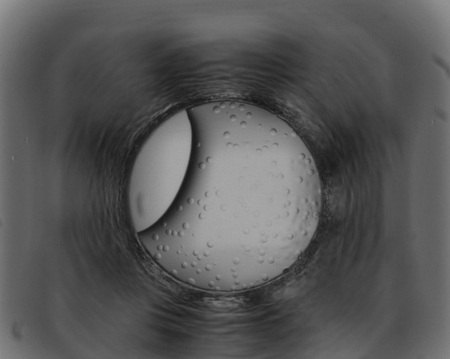X0000093590359200710151022
